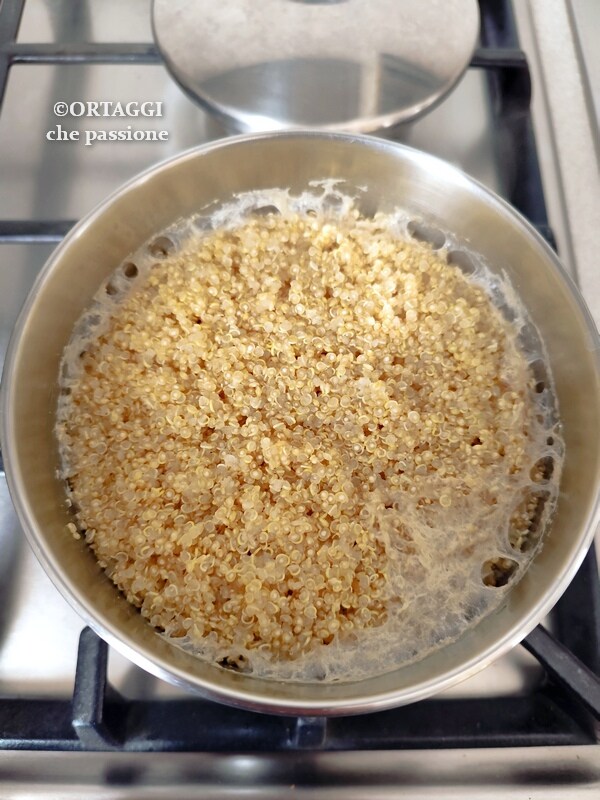 Quinoa Kochen in heißem oder kaltem Wasser