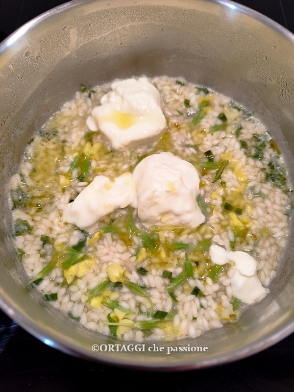 Risotto abschmecken und sofort servieren