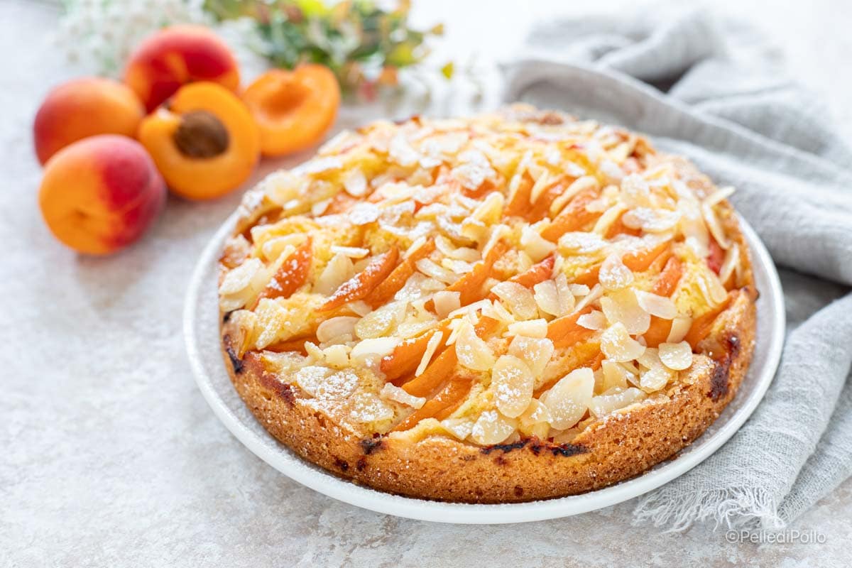 Aprikosen-Mandel-Kuchen