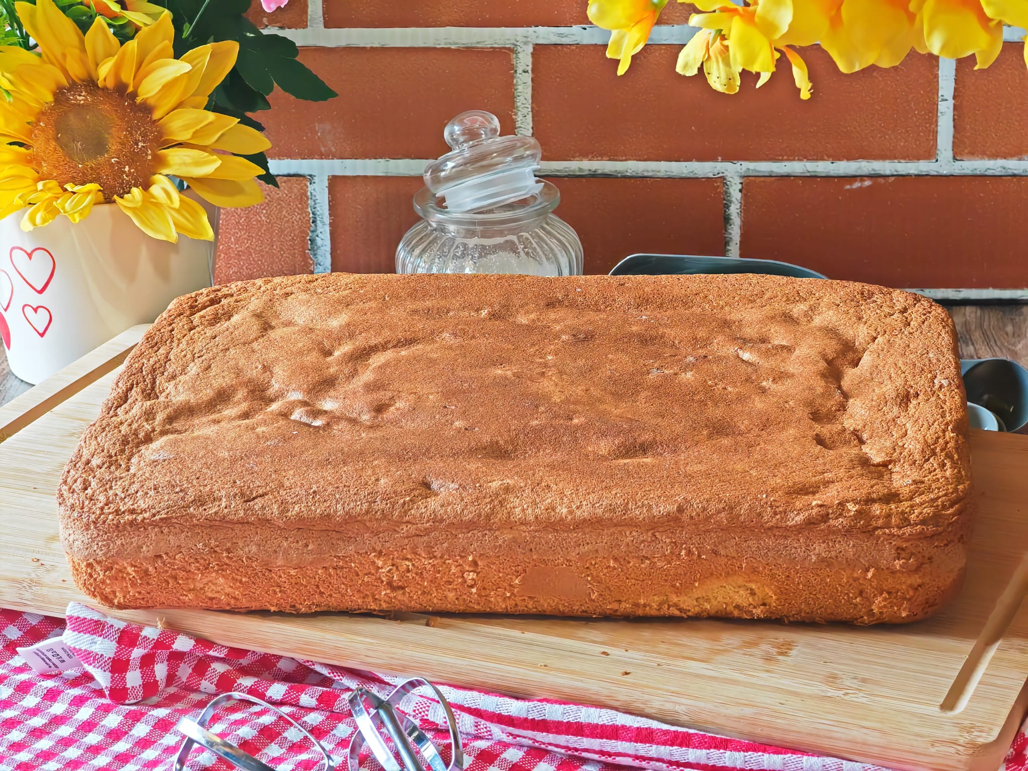 Rechteckiger, flauschiger Biskuit