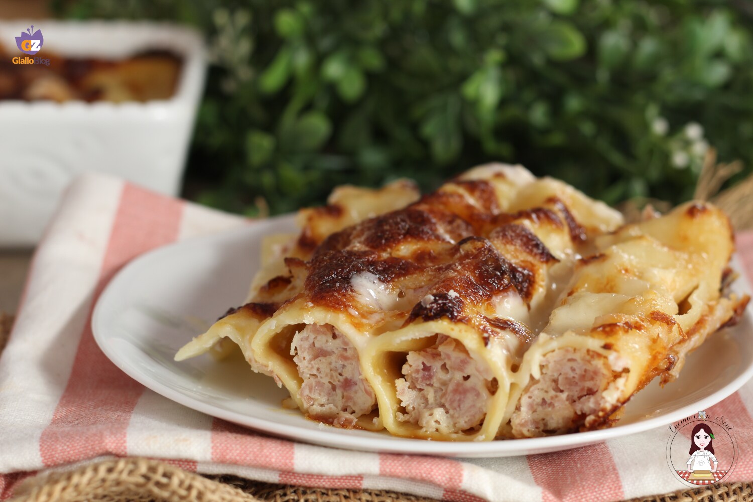 Cannelloni mit Ricotta und Schinken