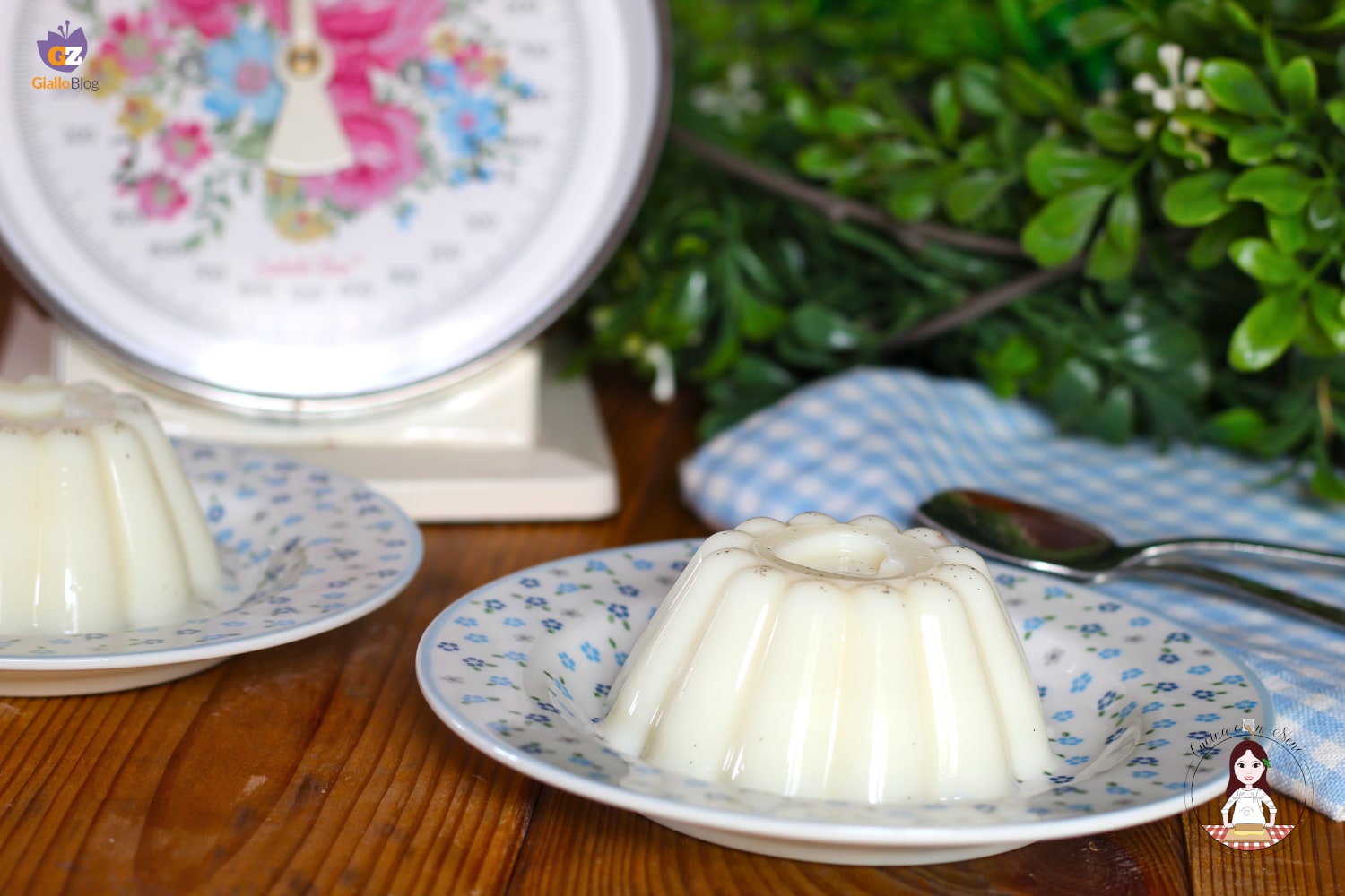 Dukan-Pudding