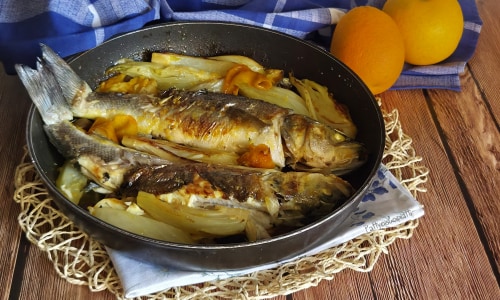 Wolfsbarsch in der Pfanne mit Fenchel und Orange
