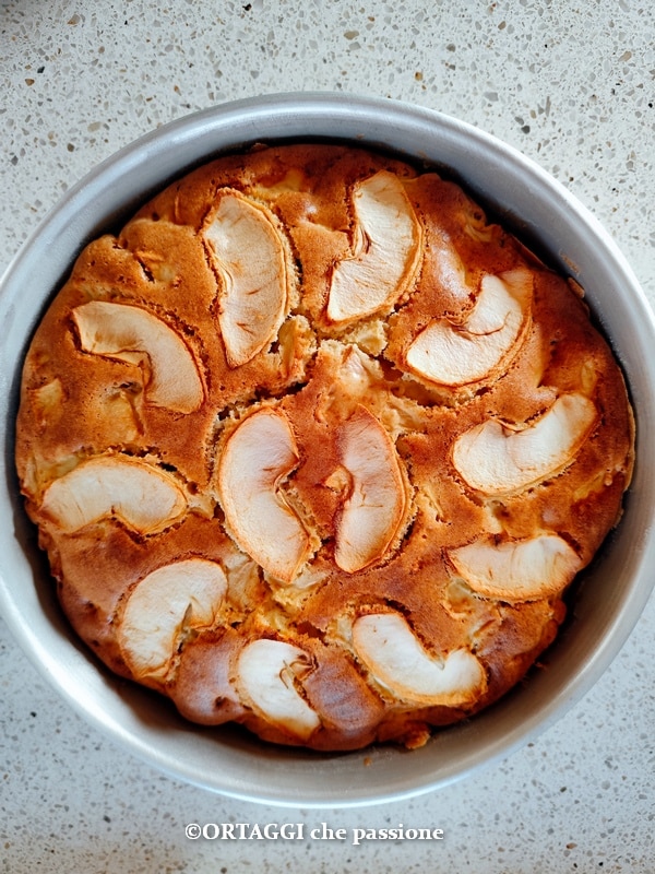 gebackener weicher Apfelkuchen in der Form