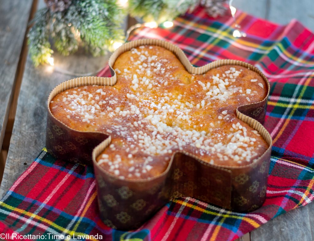 glutenfreier weihnachtsstern