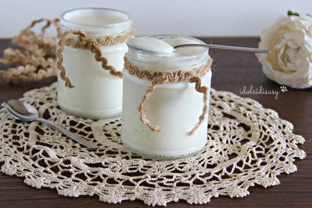 idolcidisusy Hausgemachter Joghurt