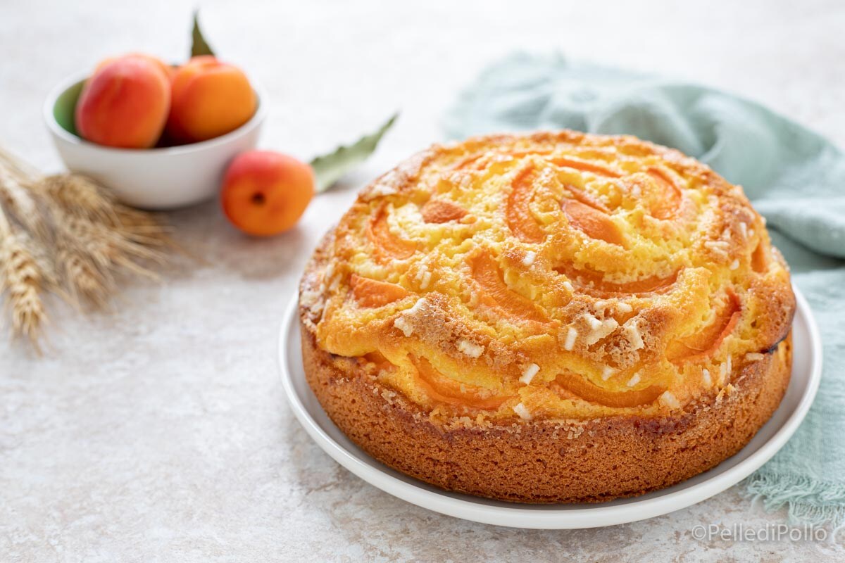 Kuchen mit Aprikosen und Joghurt