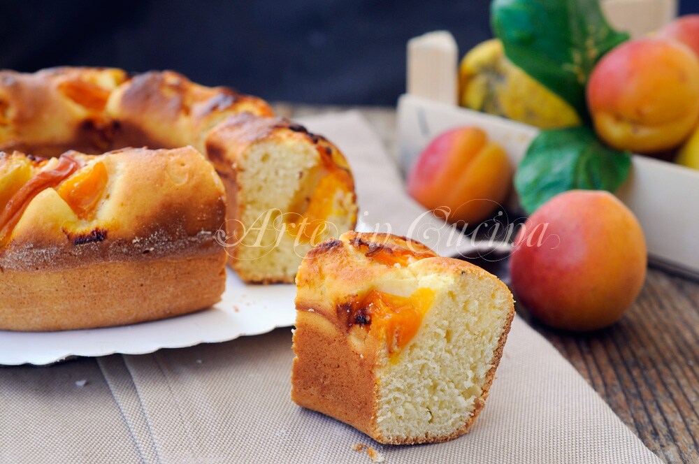 APRIKOSENRING mit Ricotta ohne Butter
