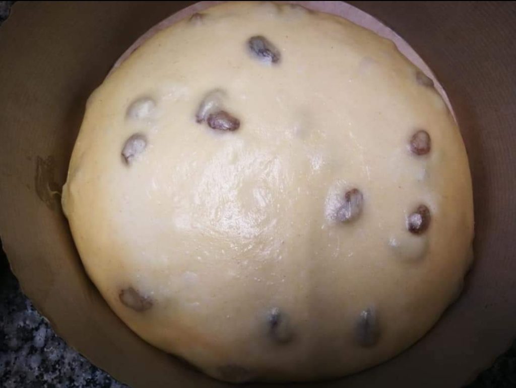 Gärung des Panettone mit Rosinen