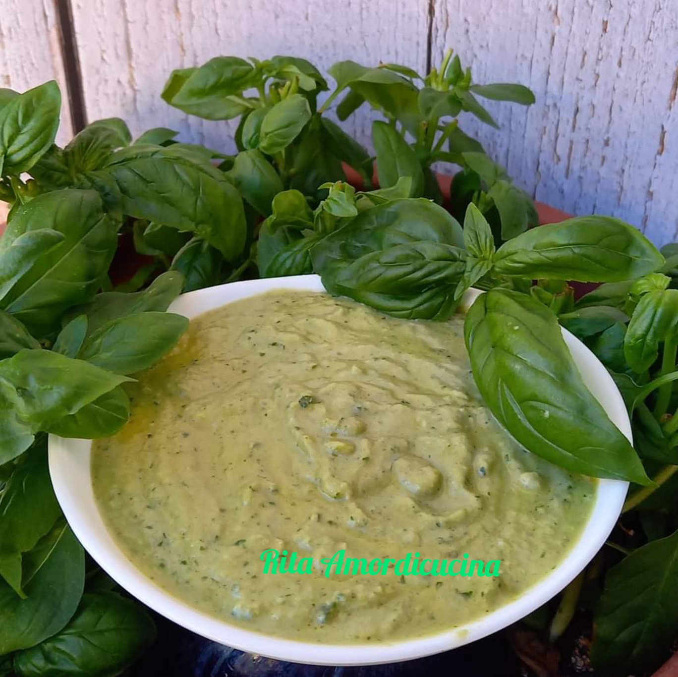 Rezept für Genueser Pesto RitaAmordicucina