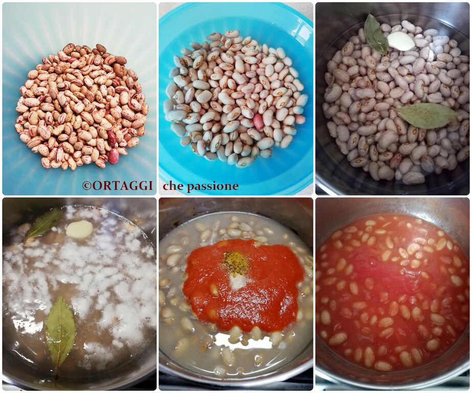 Rezept Schritt-für-Schritt Bild - Bohnen in Tomatensoße - uccelletto