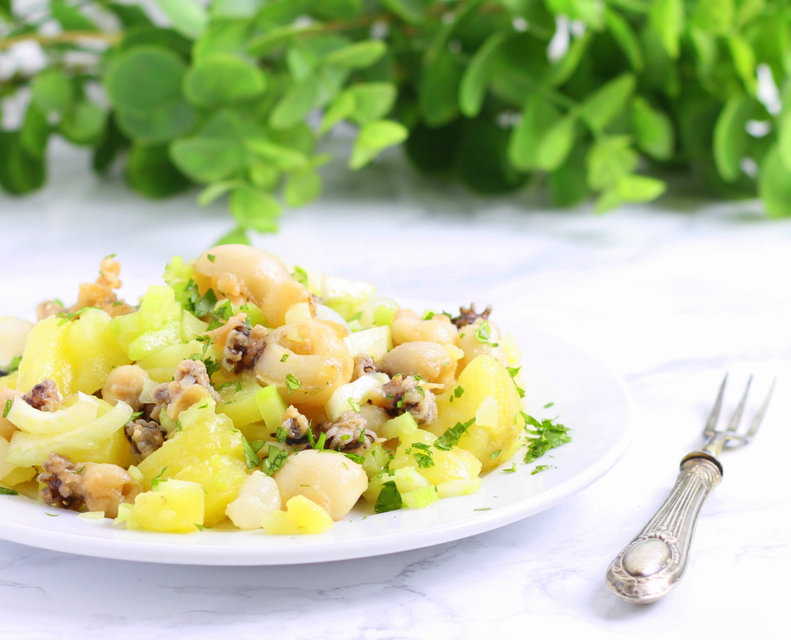 Kleine Tintenfische mit Kartoffeln, Sellerie und kleinen Zwiebeln