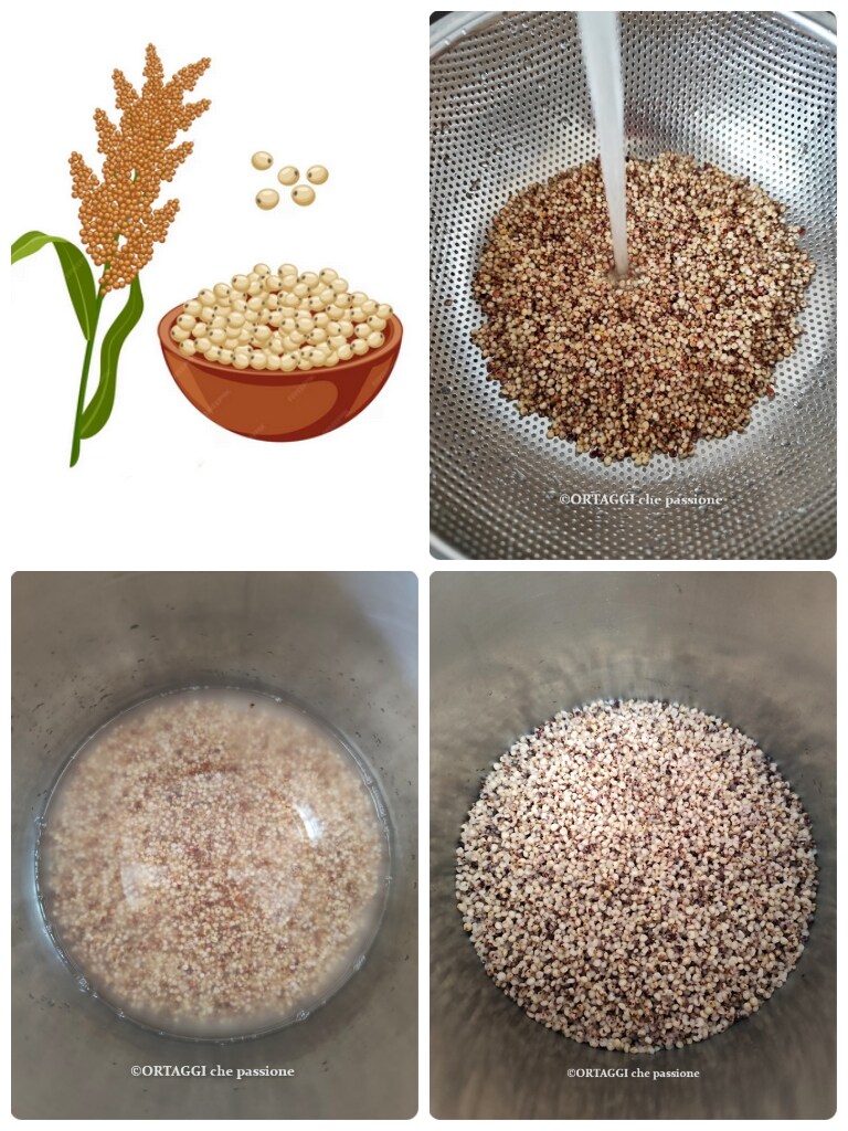Sorghum Kochen und Rezepte