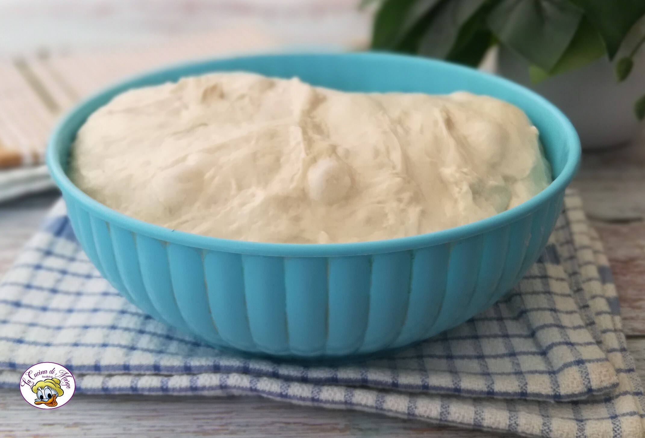 TEIG FÜR FOCACCIA