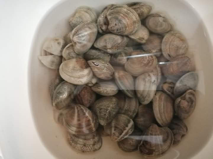 vongole