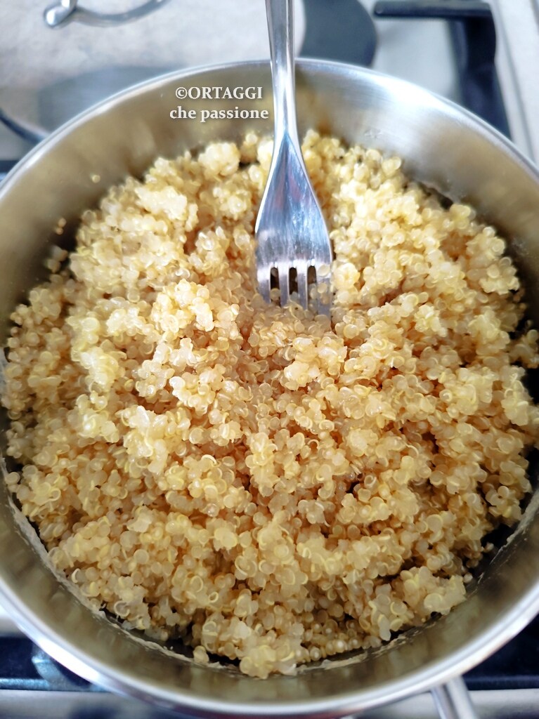 wie man Quinoa im Wasser durch Absorption kocht