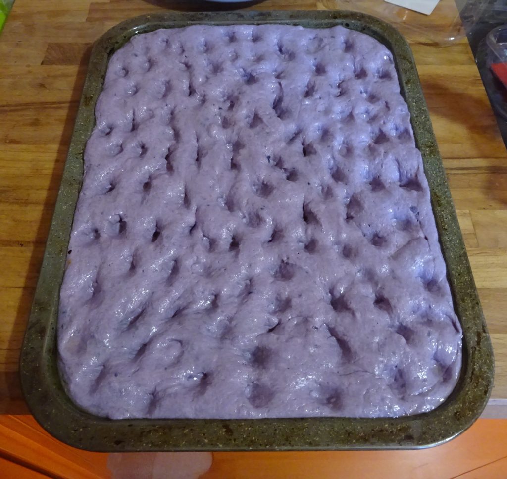 Focaccia mit Rotkohl