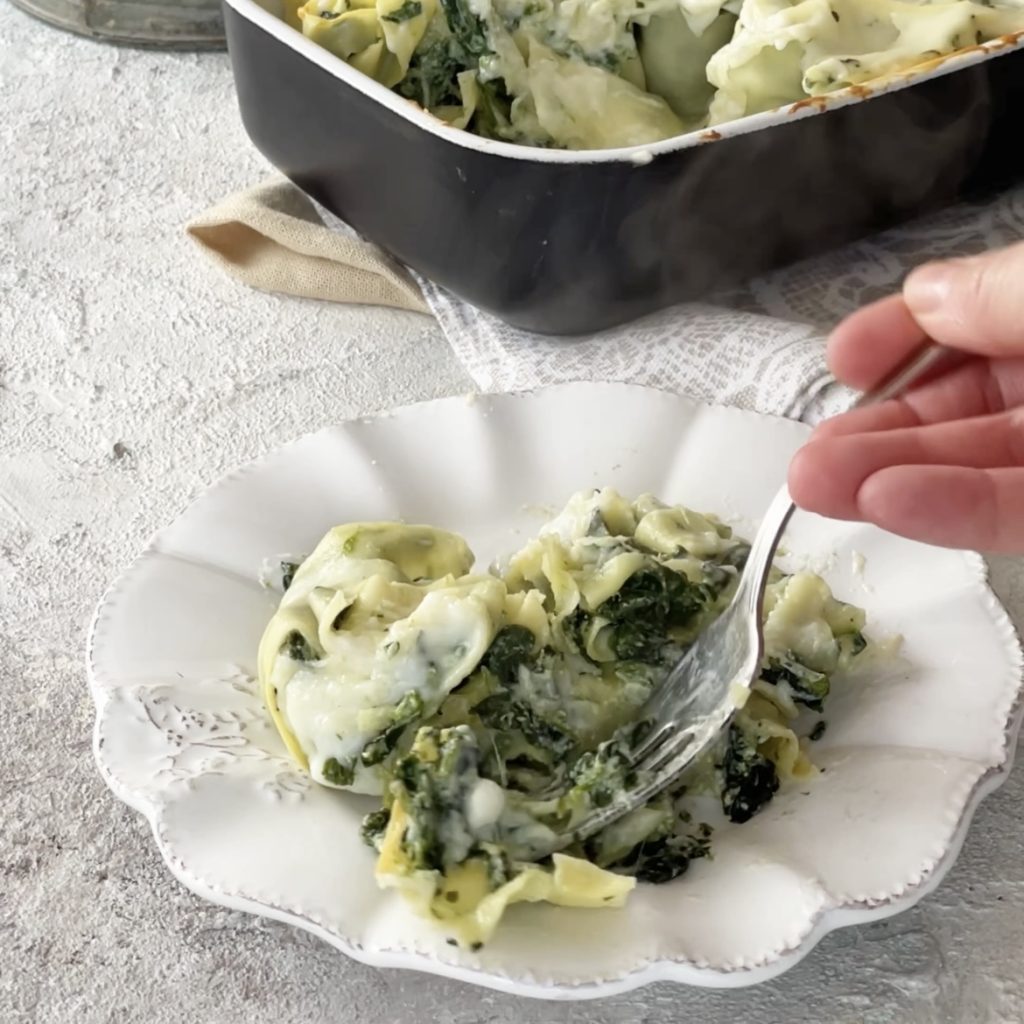 Gerollte Lasagne mit Spinat und Ricotta