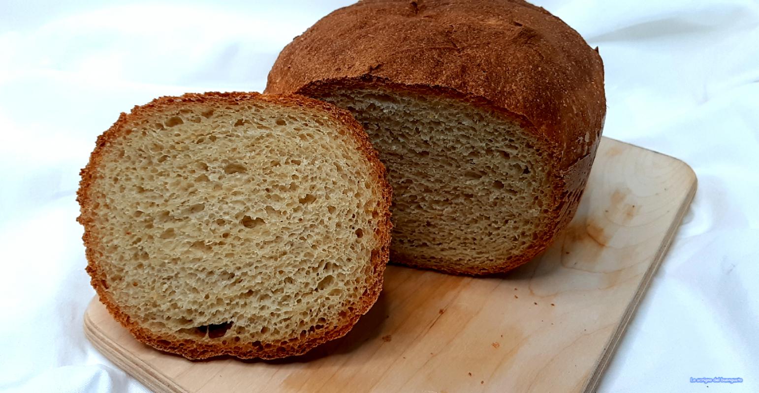 Maisbrot mit der Brotbackmaschine