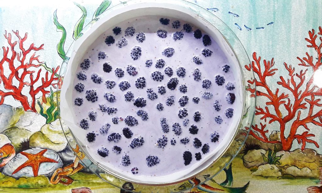 Leichte kalte Maulbeer-Cheesecake