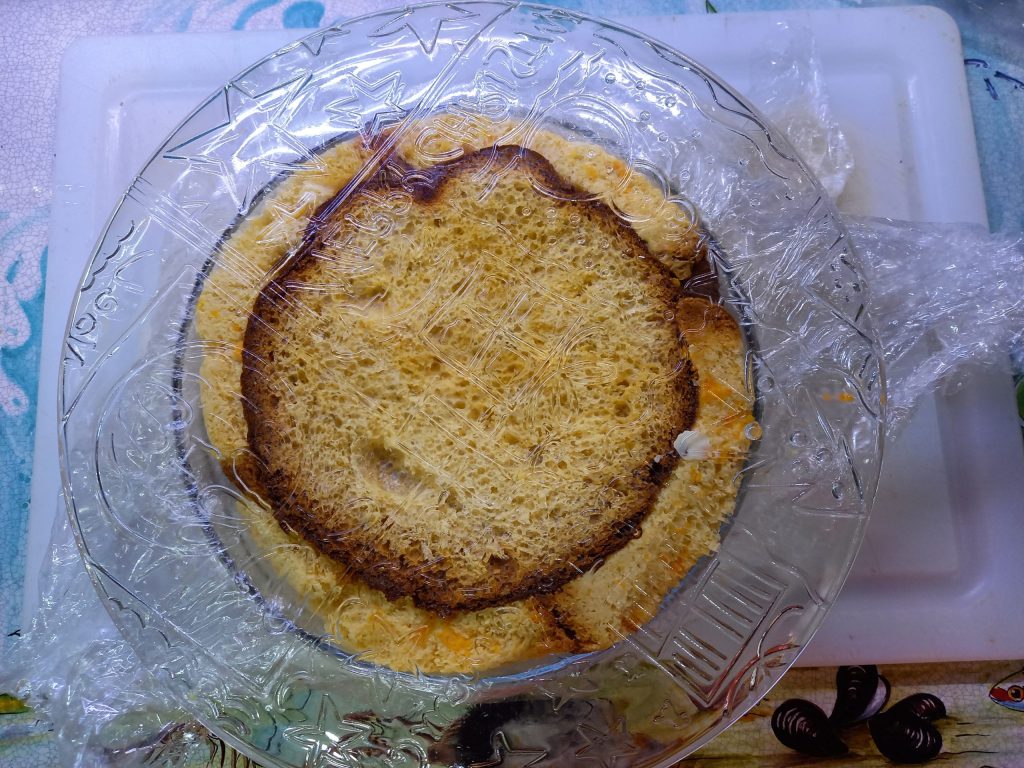 Die Pandoro-Kuppel mit Mandarinencreme