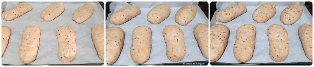 Teilvollkornbrötchen mit 7 Körnern