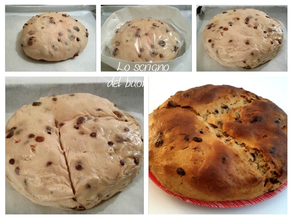 Niedriger Genueser Panettone