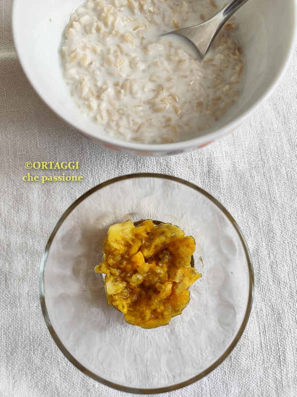 Kaktusfeigenschicht im Glas