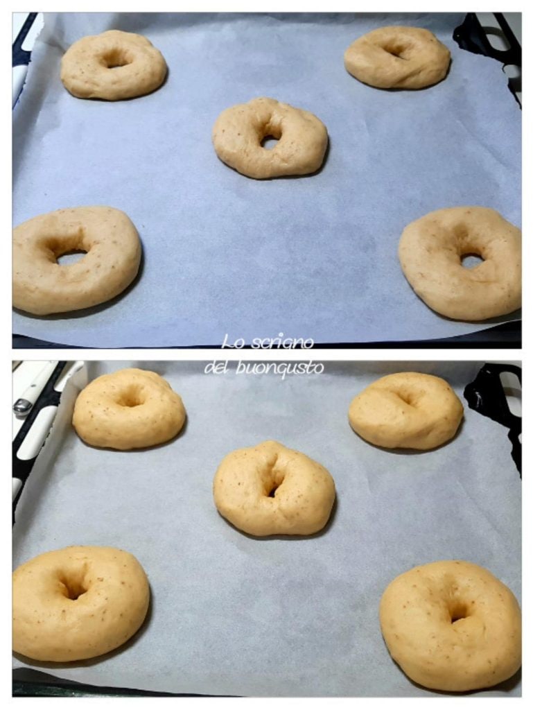 Abruzzische Donuts von San Biagio
