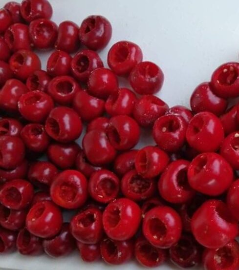 Scharfe Paprika oder gefüllte Pappacelle