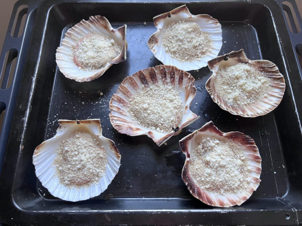 gratinierte Jakobsmuscheln aus dem Ofen