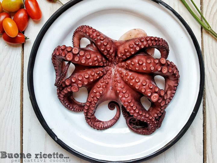 Wie man tiefgefrorenen Oktopus kocht