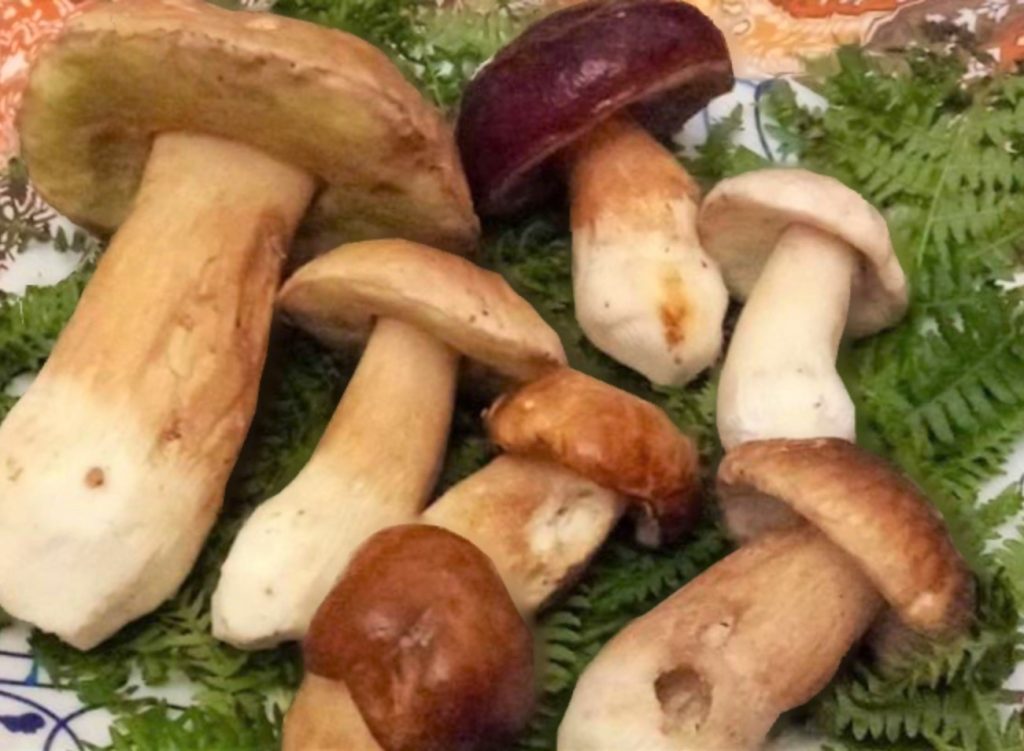 Reinigen Sie die Pilze mit einem kleinen Messer, entfernen Sie die Teile in der Nähe der Erde und reinigen Sie sie dann vorsichtig mit einem feuchten Tuch. Dann in Scheiben schneiden.