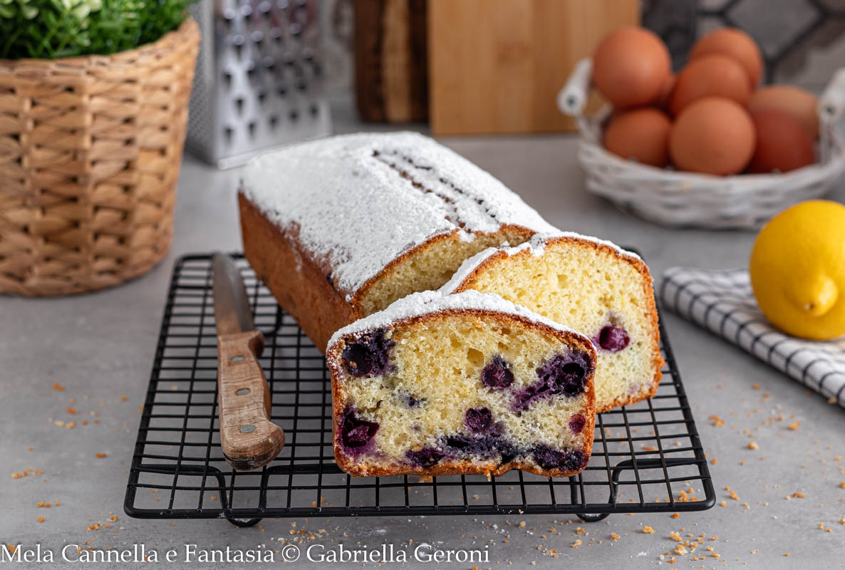 Heidelbeer-Joghurt-Kuchen (Entdecke Omas Geheimtrick!)