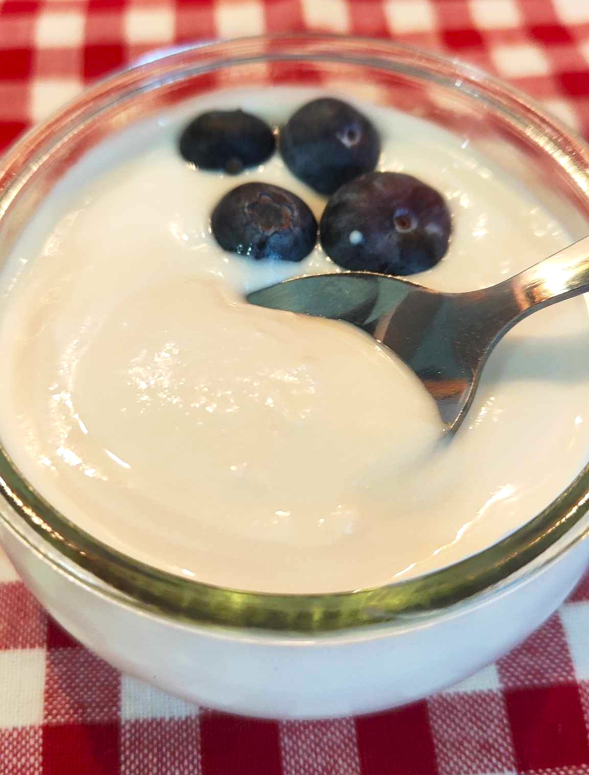 CREMIGER JOGHURT mit dem Monsieur Cuisine Smart