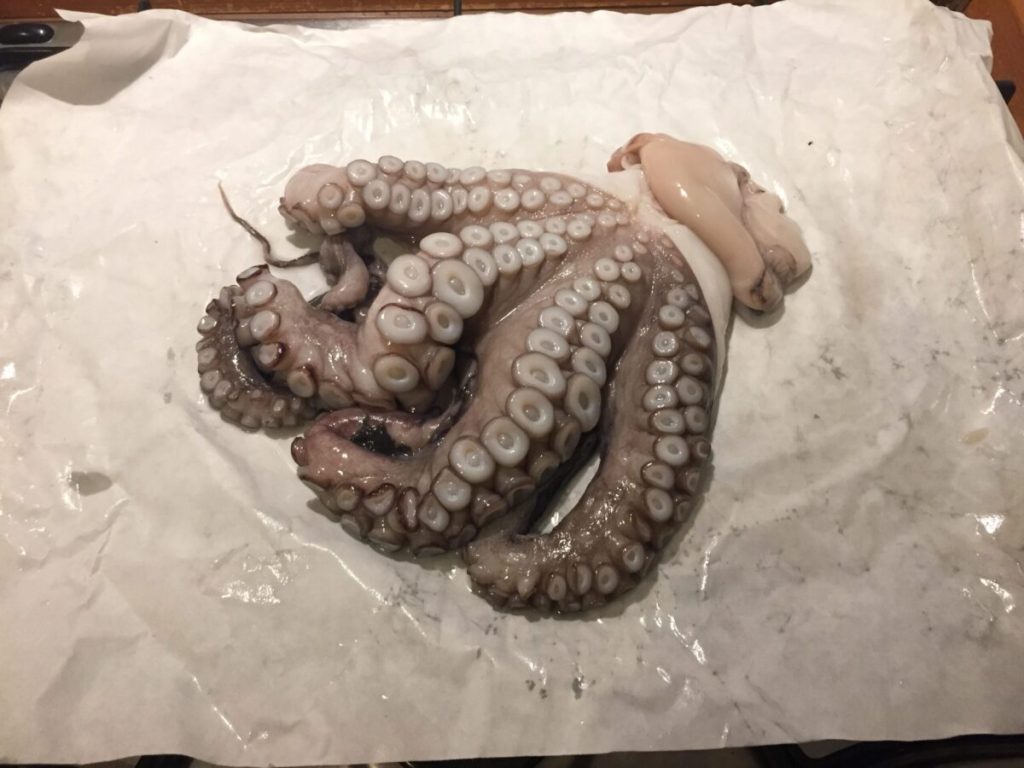 mojito-mariniertes Oktopus Pesto