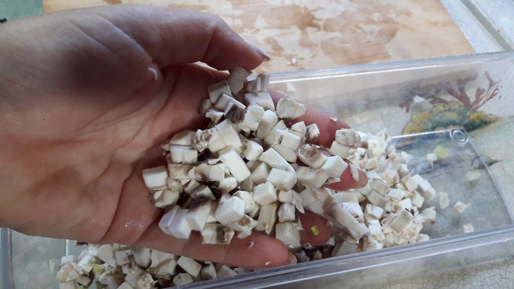 Champignon-Pilz- und Zucchinisalat