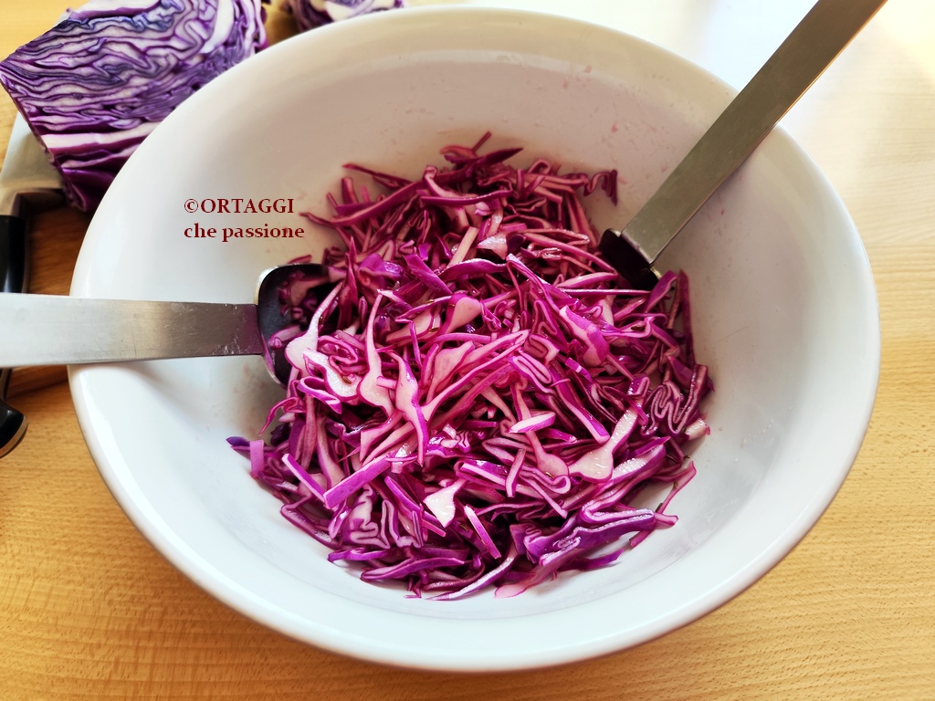 Rohes Kraut - Rotkohl im Salat