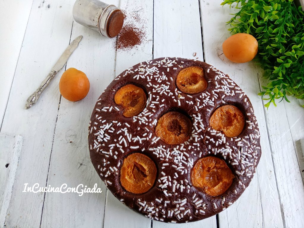 Light Kuchen mit Kakao und Aprikosen