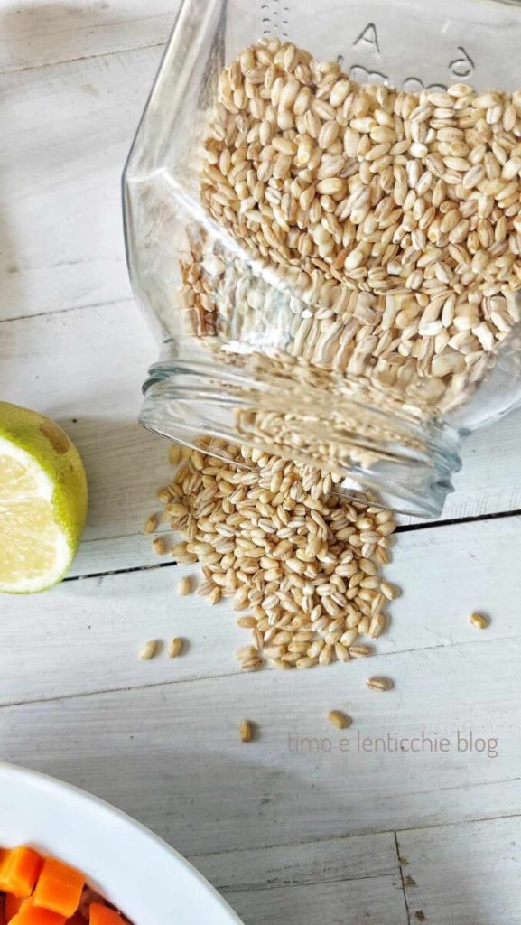 Gersten-, Karotten- und Fenchelsalat