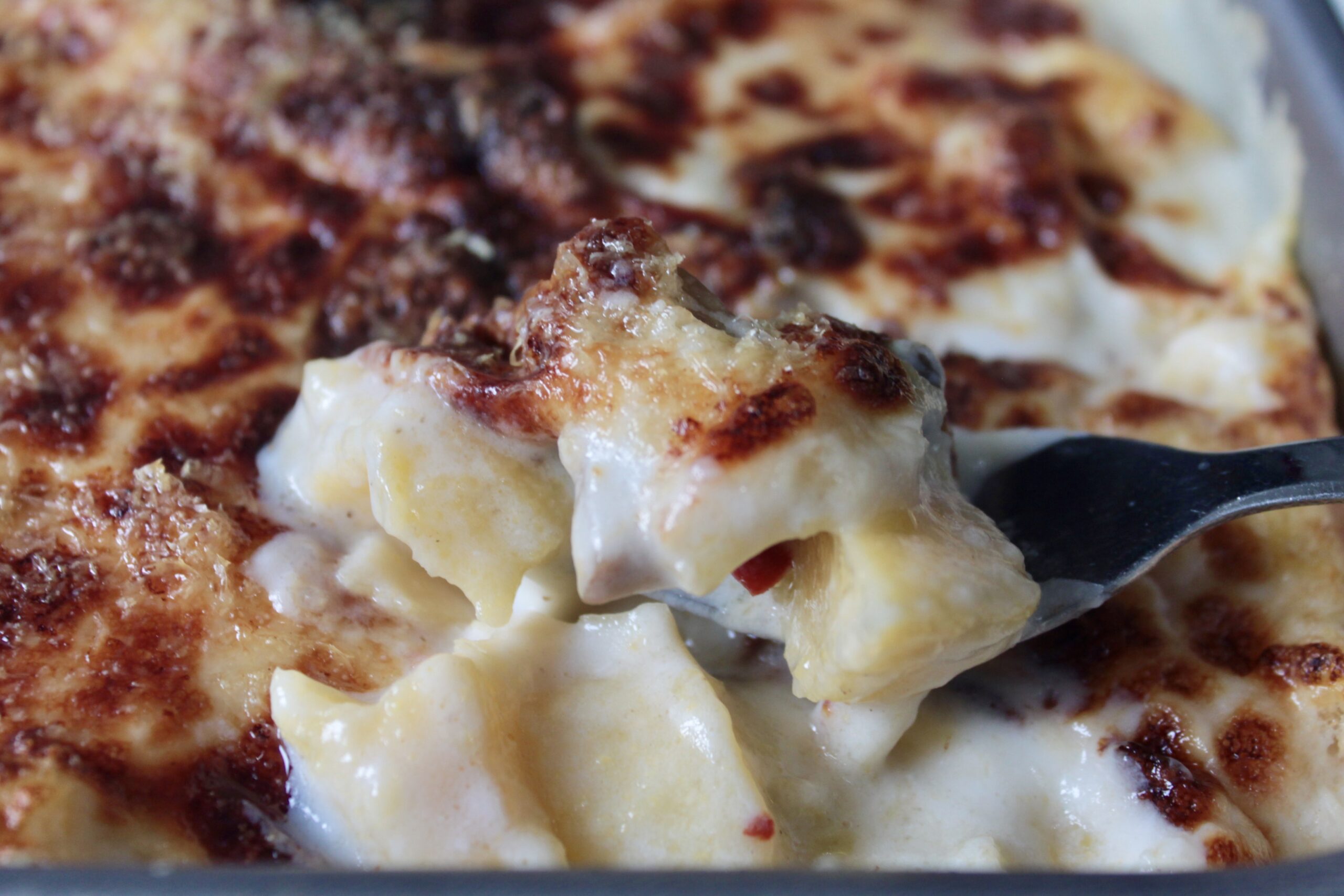 Im Ofen gebackene Polenta mit Pilzen und Béchamel in der Heißluftfritteuse