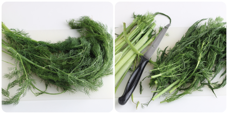 wie man den wilden Fenchel putzt