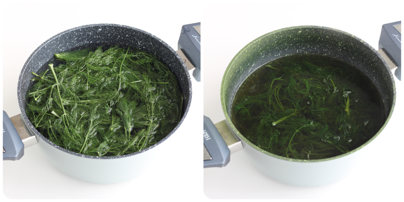 wie man den wilden Fenchel kocht