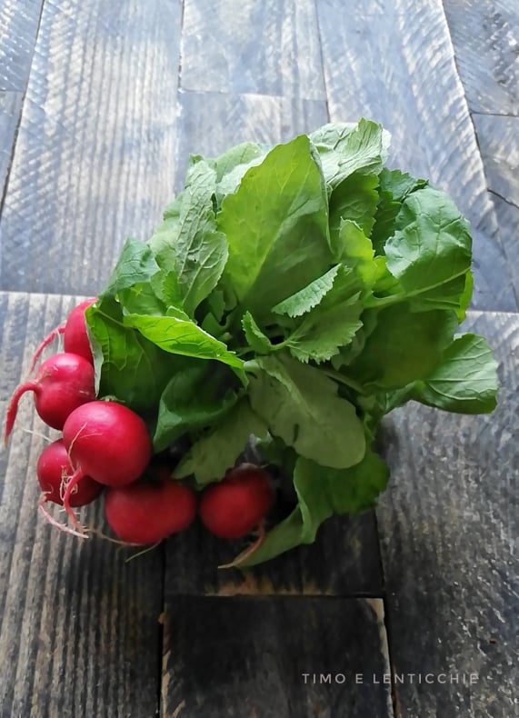 Pesto aus Radieschenblättern 3