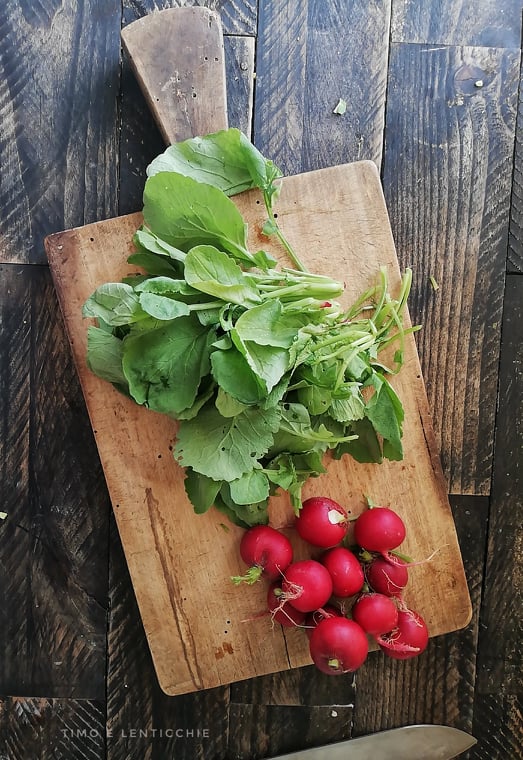 Pesto aus Radieschenblättern 4