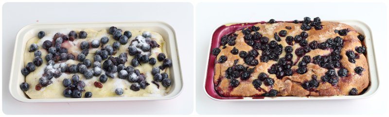 schiacciata mit trauben auf florentinische Art