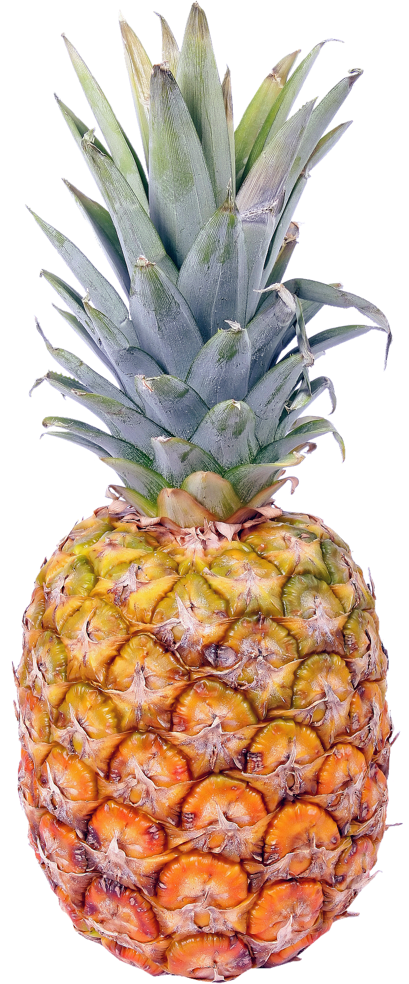 Wie man eine Ananas in 30 Sekunden säubert