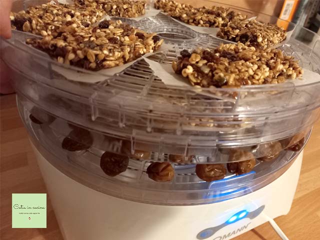 getrocknete Trauben + Riegel