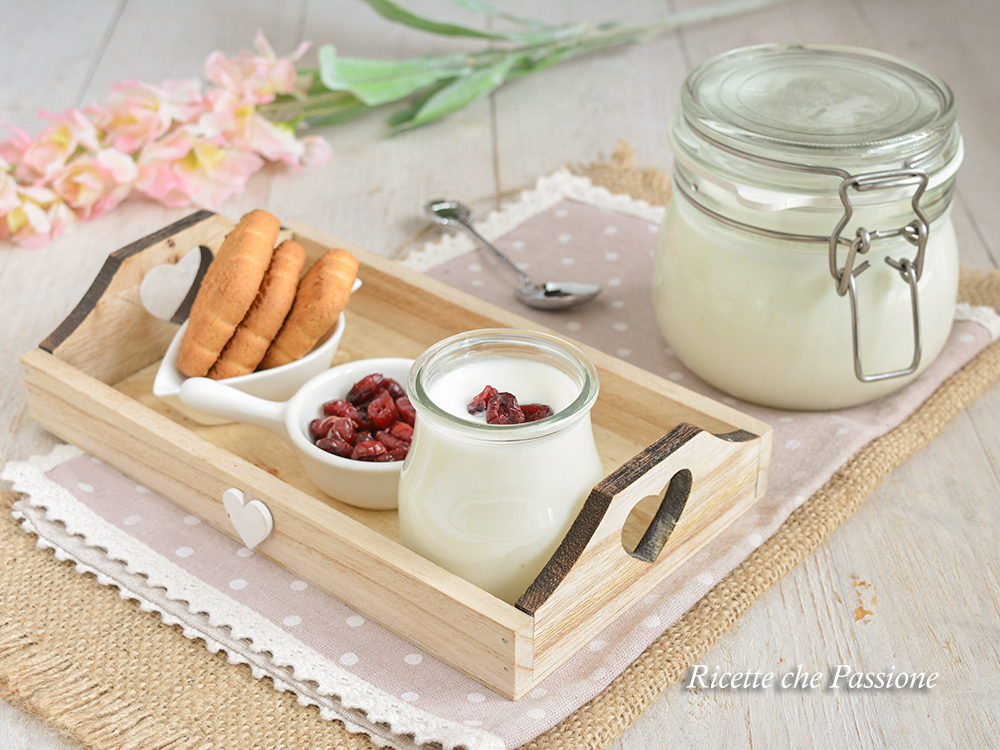 hausgemachter Joghurt