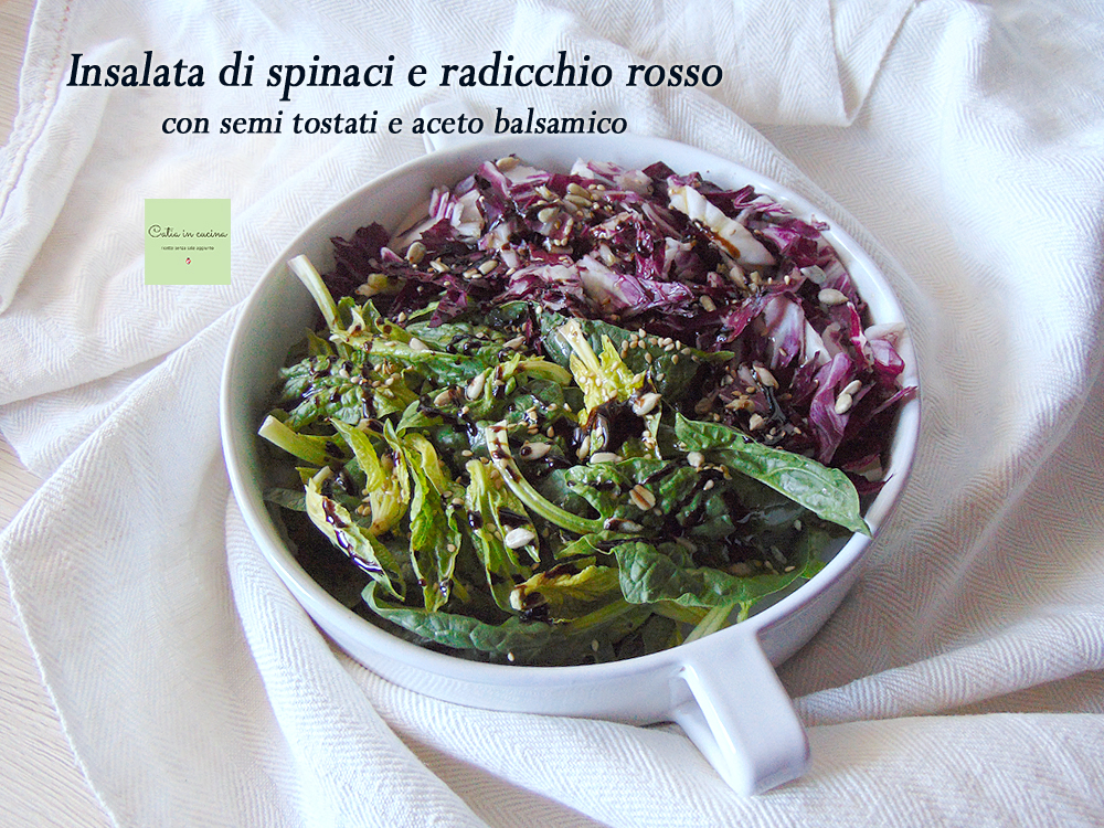 Spinatsalat und Radicchio